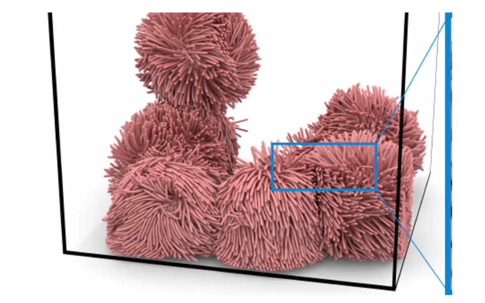 An Efficient Multilevel Preconditioned Nonlinear Conjugate Gradient Method for Incremental Potential Contact 